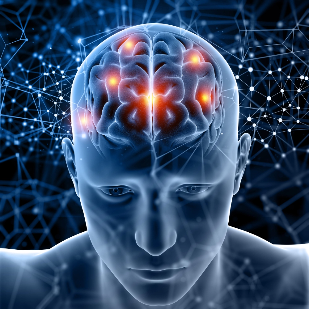 Brain neural pathways — how VapoCept improves circulation